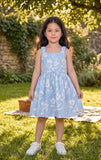 Baby Frock - BNBSF-616 Blue Flowers