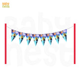 Flags Banner Theme Birthday Party Decorations