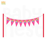 Flags Banner Theme Birthday Party Decorations