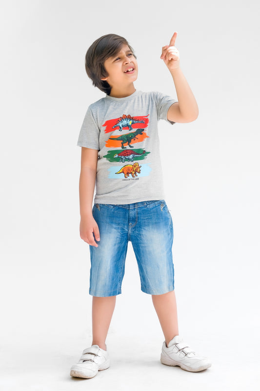 Kings of the Land Half Sleeves T-shirts for Kids - Grey