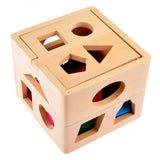 Fifteen Hole - Shape Intelligence Box Shape Sorter Wooden