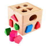 Fifteen Hole - Shape Intelligence Box Shape Sorter Wooden