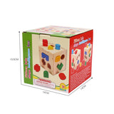 Fifteen Hole - Shape Intelligence Box Shape Sorter Wooden