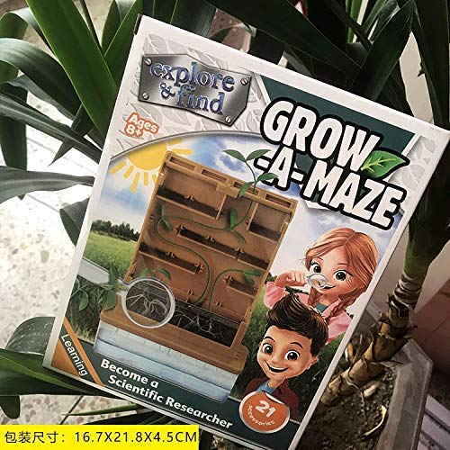 Grow A Maze Science Kit