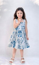 Baby Frock - BNBSF-619 Azure Garden
